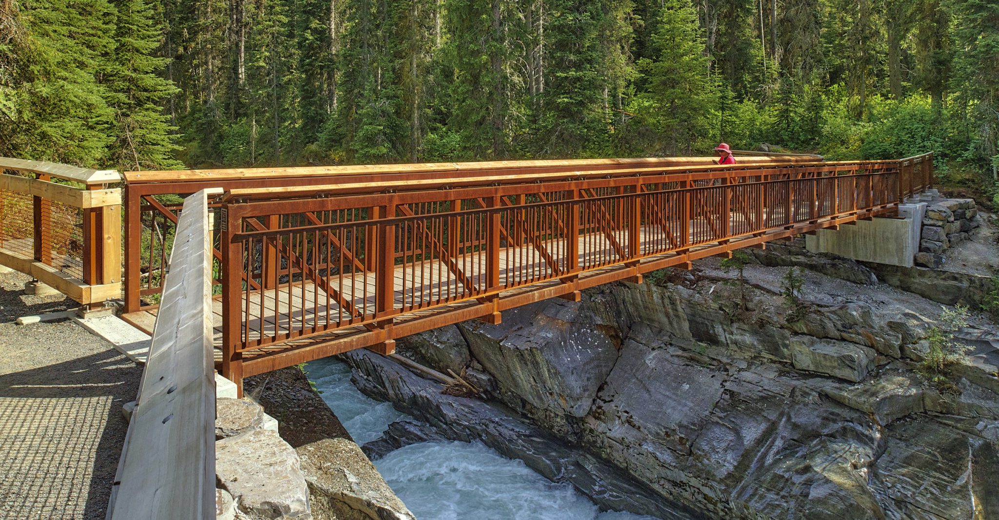 Trail bridge spans gorge in a wilderness setting