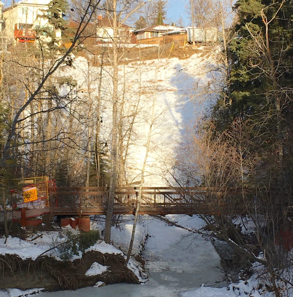Wide view of new prefab trail bridge in ravine