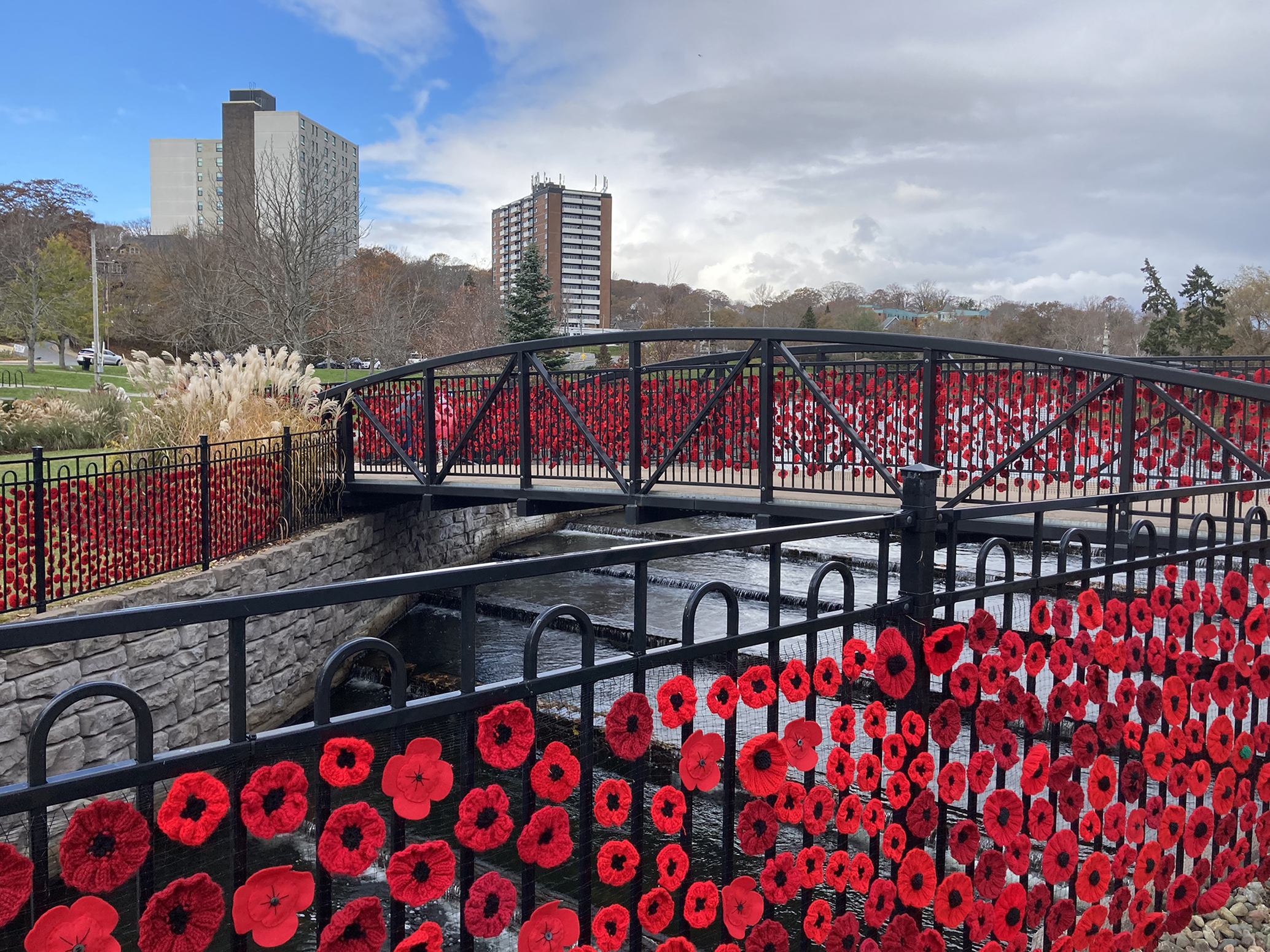 Prefabricated pedestrian bridge with community poppies 